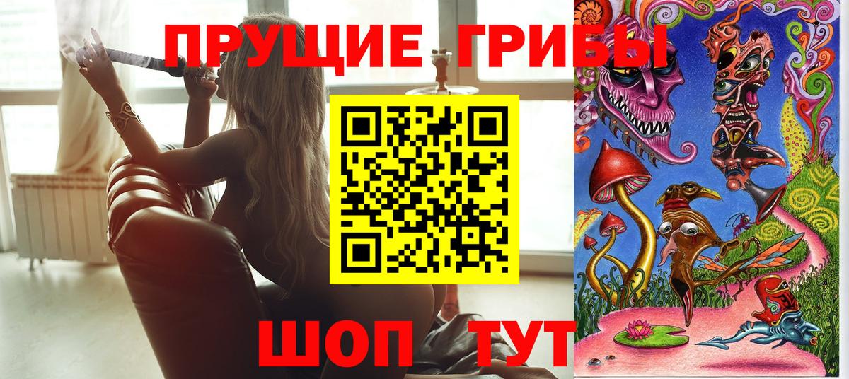 Татарск  Псилоцибиновые грибы Psilocybe  Галлюциногенные грибы мицелий  купить закладку  Вход с VPN 