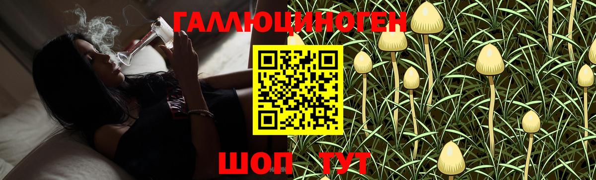 Галлюциногенные грибы мицелий Татарск